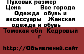 Пуховик размер 42-44 › Цена ­ 750 - Все города Одежда, обувь и аксессуары » Женская одежда и обувь   . Томская обл.,Кедровый г.